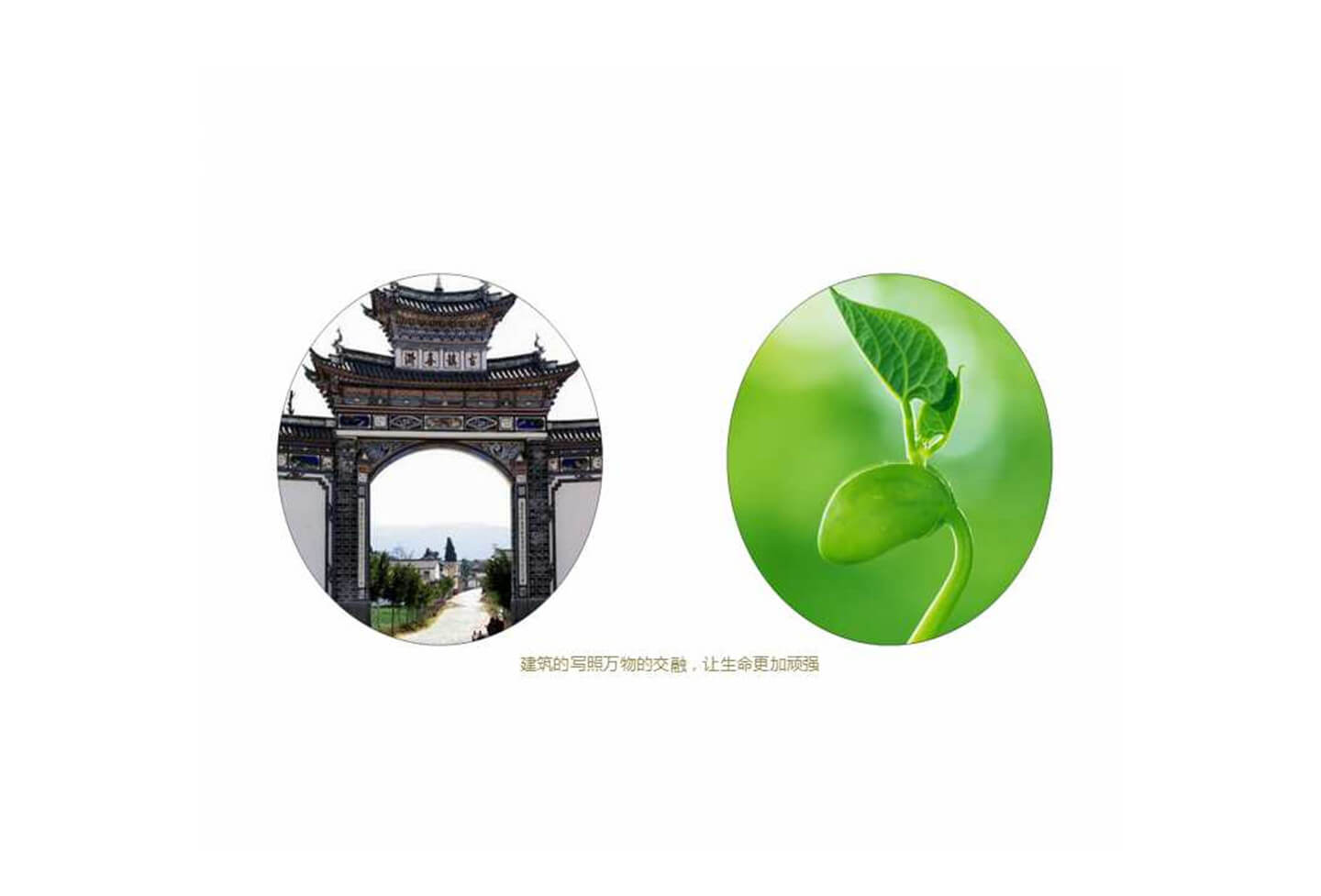 幻灯片11